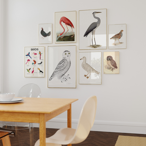 8 framed bird prints on a white wall