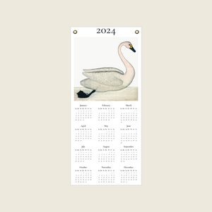 2024 Canvas Calendar featuring Olof Rudbeck's Bewick's Swan