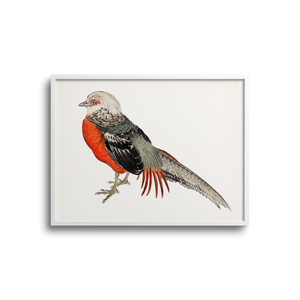 Japanese Pheasant by Kōno Bairei