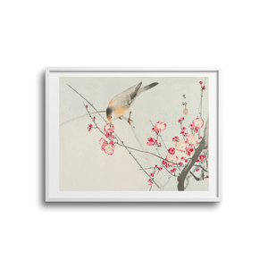 Songbird on a Blossom Branch by Ohara Koson
