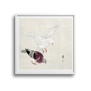 Framed Two Pigeons by Ohara Koson