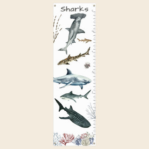 shark growth chart