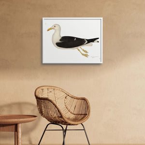 Rudbeck gull art print next to a chair.