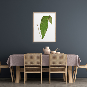Single green fern leaf in a dining room. 