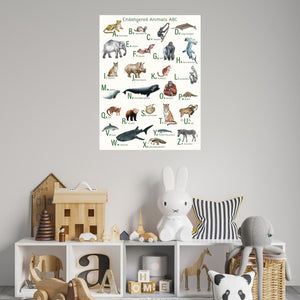 Endangered species alphabet poster over a bookcase in a child's room.