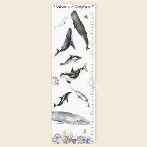 Whale and Dolphin canvas growth chart.