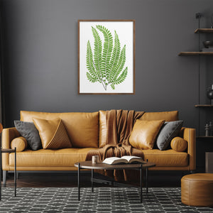 Large framed fern over a leather couch.