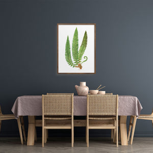 Framed fern in a dining room. 