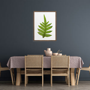 Framed fern over a dining table.