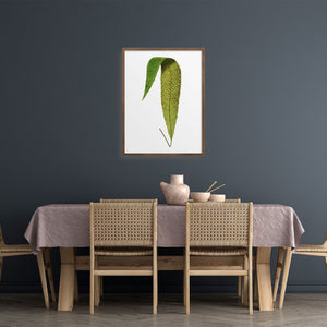 Framed fern over a dining room table.