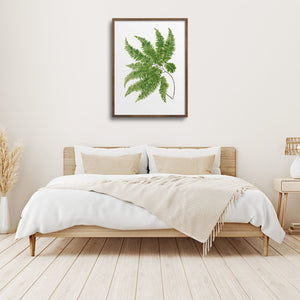 Lacy fern art print over a bed.