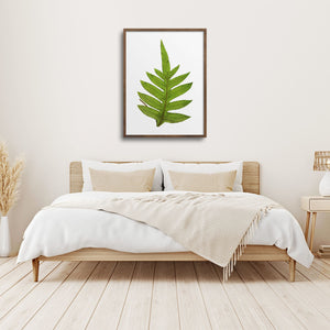 Framed fern over a bed.