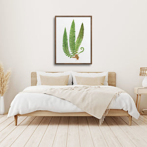 Framed fern in a bedroom.