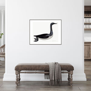 Rudbeck black diver bird print on a condo wall.