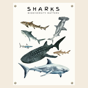 Canvas shark poster with a biodiversity theme.