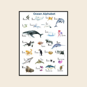 framed ocean alphabet poster on fine art paper
