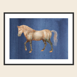 Framed vintage horse on indigo background.