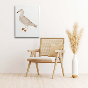 Rudbeck Larus gull next to a modern chair.