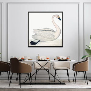 Rudbeck's swan fine art print in a dining room.