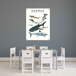 Biodiversity canvas shark poster in a playroom.
