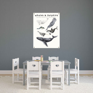 Whale and Dolphin Poster on Archival Fine Art Paper or Canvas