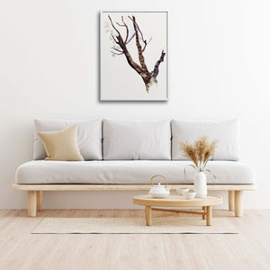 Charles Demuth framed tree in a minimalist living room.