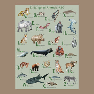 Endangered animals alphabet poster on fine art paper.