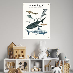 Shark poster in a child's room.