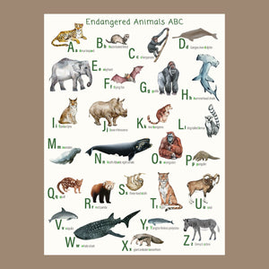 Endangered animals ABC poster on fine art paper.