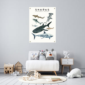 Shark Biodiversity Matters Poster on Archival Fine Art Paper or Canvas