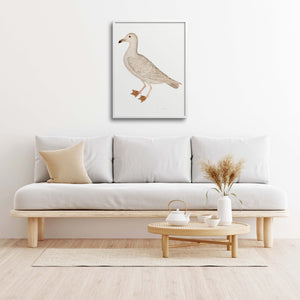 Framed Rudbeck Larus gull in a minimalist living room. 