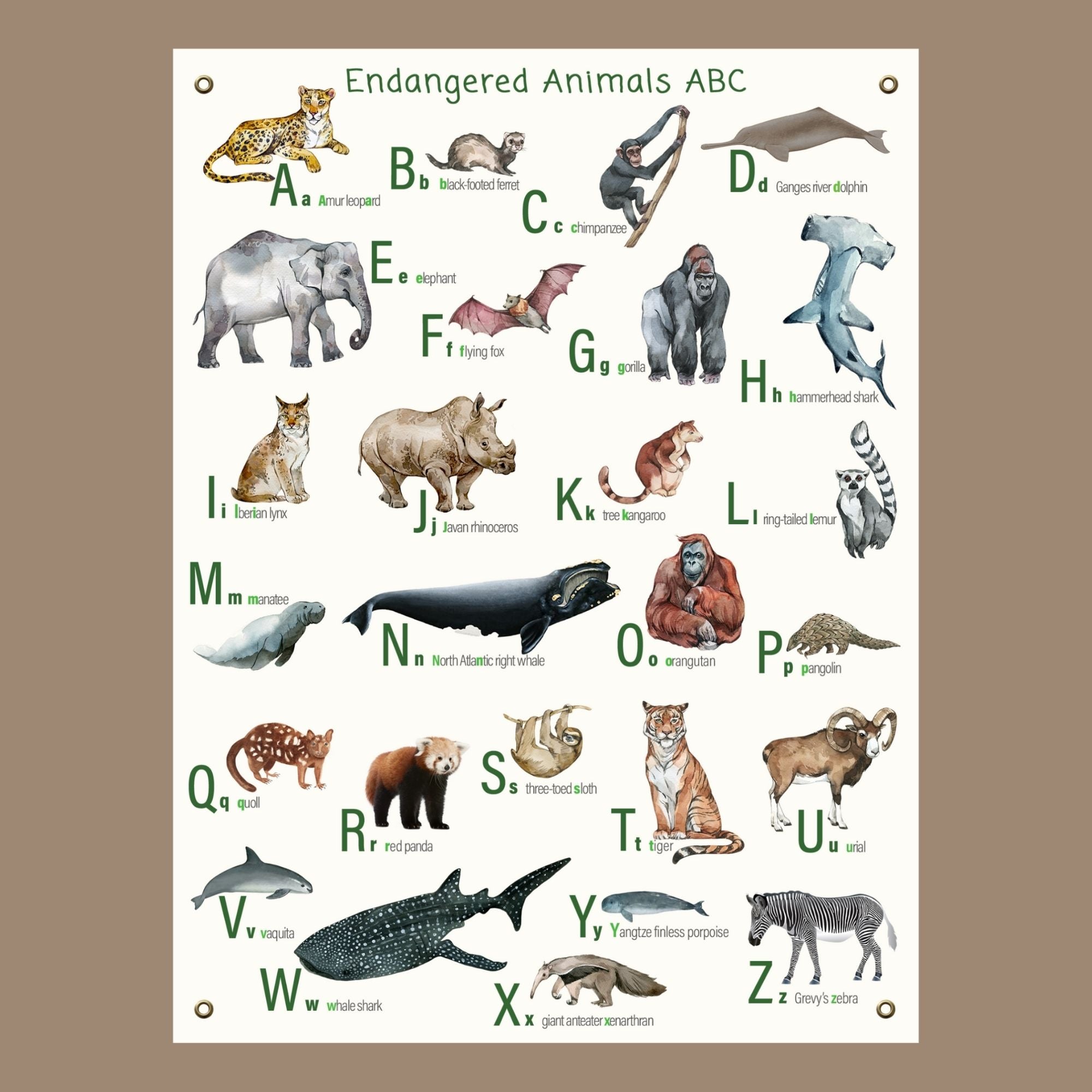 endangered animals pictures with names