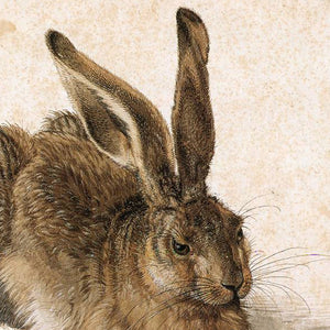 Close up of Durer's hare art print.
