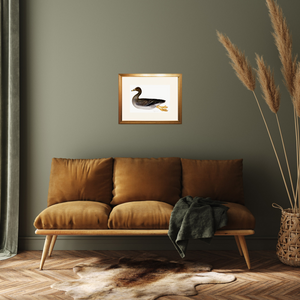 Rudbeck Greylag Goose over a sofa in a living room. 