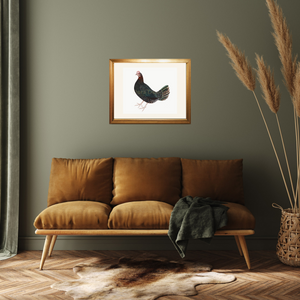 Framed Rudbeck farm hen in a living room.