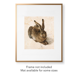Dürer young hare print