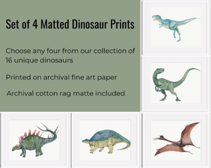 Choices for set of 4 dinosaur prints for kids.