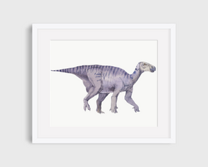 matted dinosaur art print