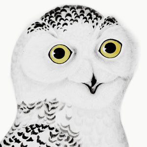 Olof Rudbeck Snowy Owl head closeup