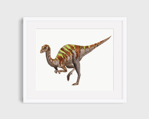Matted dinosaur art print.