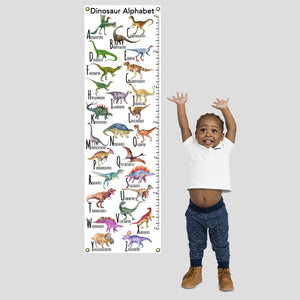 Child with dinosaur alphabet growth chart.