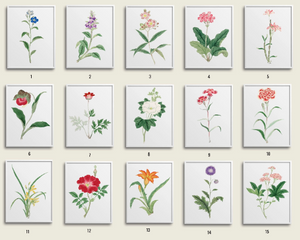 15 Japanese botanicals numbered