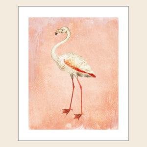 Pink flamingo on pink watercolor background.