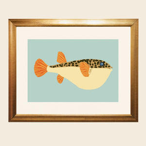 Puffer fish art print.