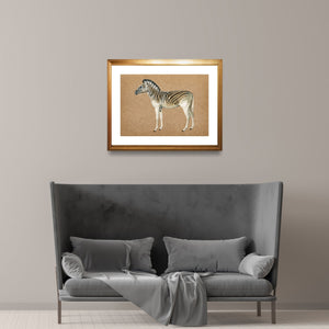 Framed zebra over a grey velvet couch in a minimalist living room.