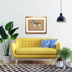 Framed zebra art print over a yellow sofa.